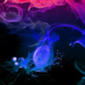 Meet your Posher, Sally